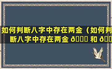 如何判断八字中存在两金（如何判断八字中存在两金 💐 和 🍁 三金）